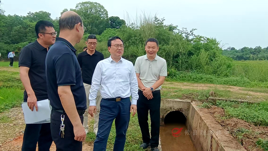 市委常委、统战部部长罗绍昀一行来攸督导调研