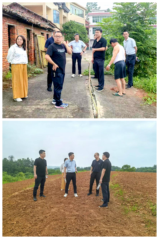 文毅赴谭桥街道竹丰社区调研乡村振兴工作