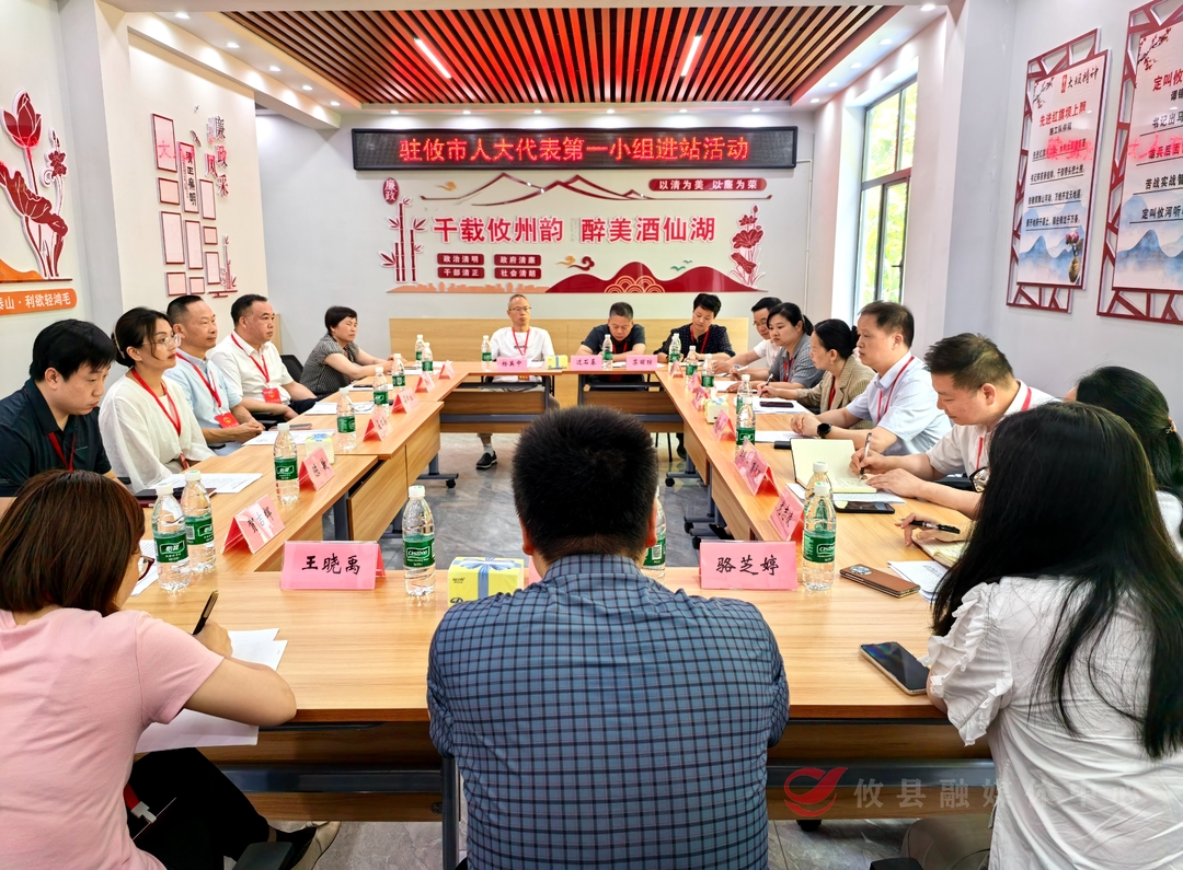 驻攸市人大代表第一小组开展“优化发展环境·人大代表在行动”集中进站活动