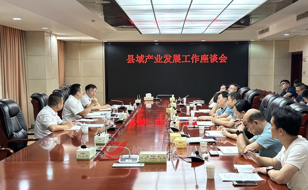 攸县召开县域产业发展工作座谈会