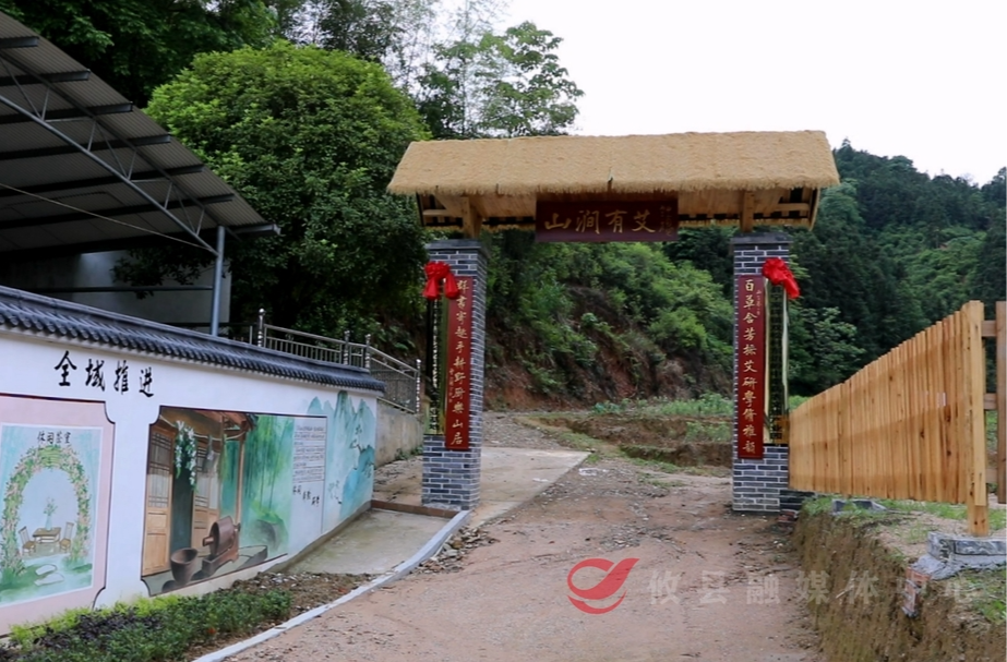 “一村美”迈向“一片兴”（一）：宁家坪镇双松村：一株艾草玉竹 种出特色产业
