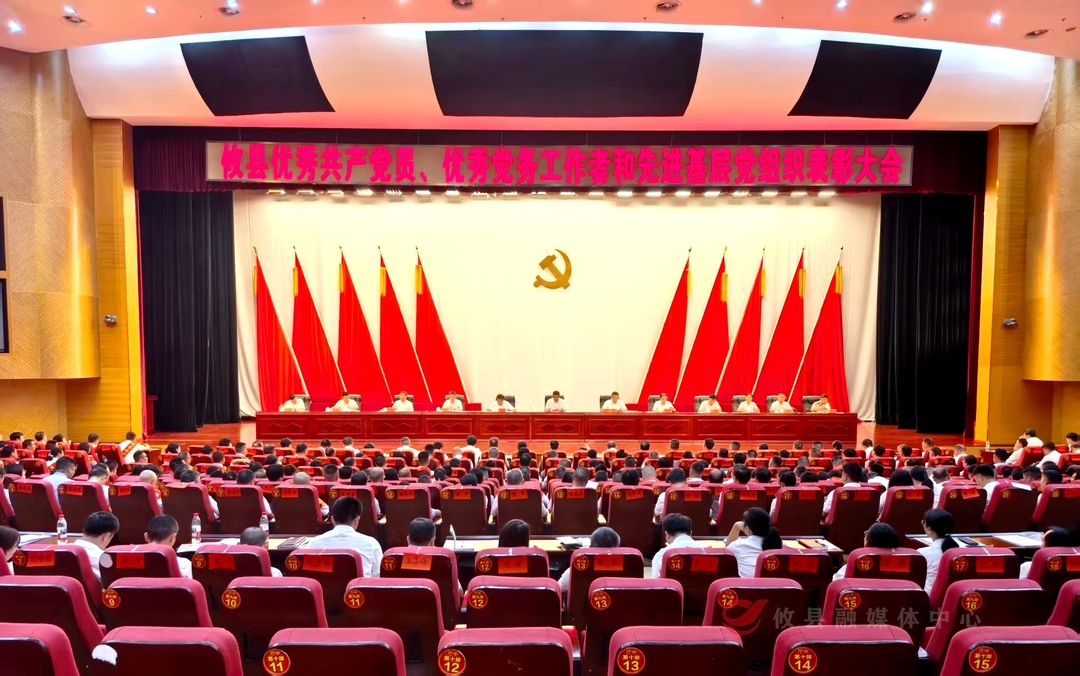 攸县召开“两优一先”表彰大会