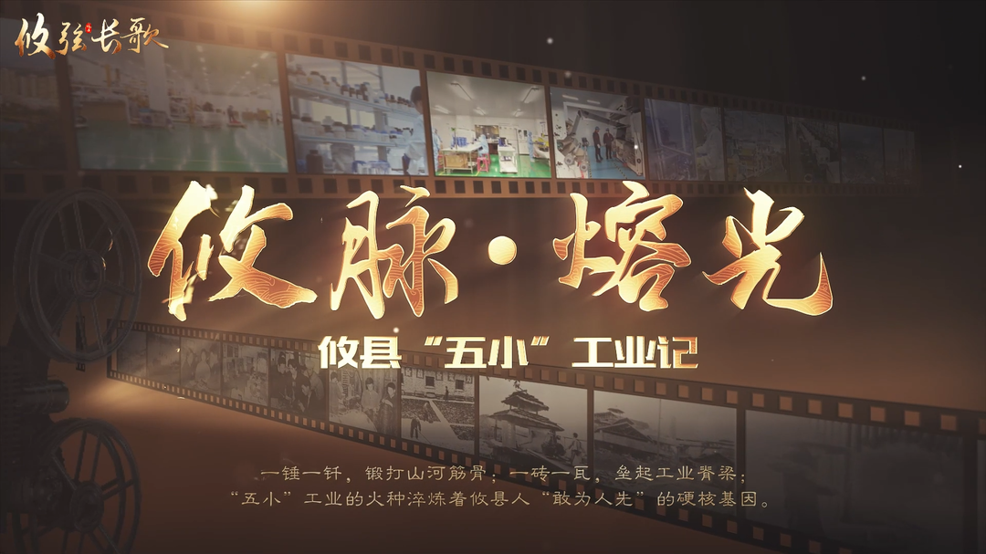 攸县五小工业记