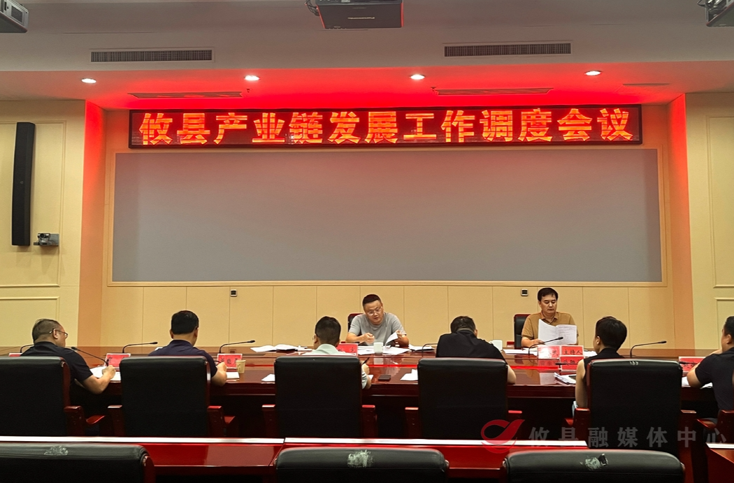攸县召开产业链发展工作调度会 凝心聚力攻坚产业强县建设