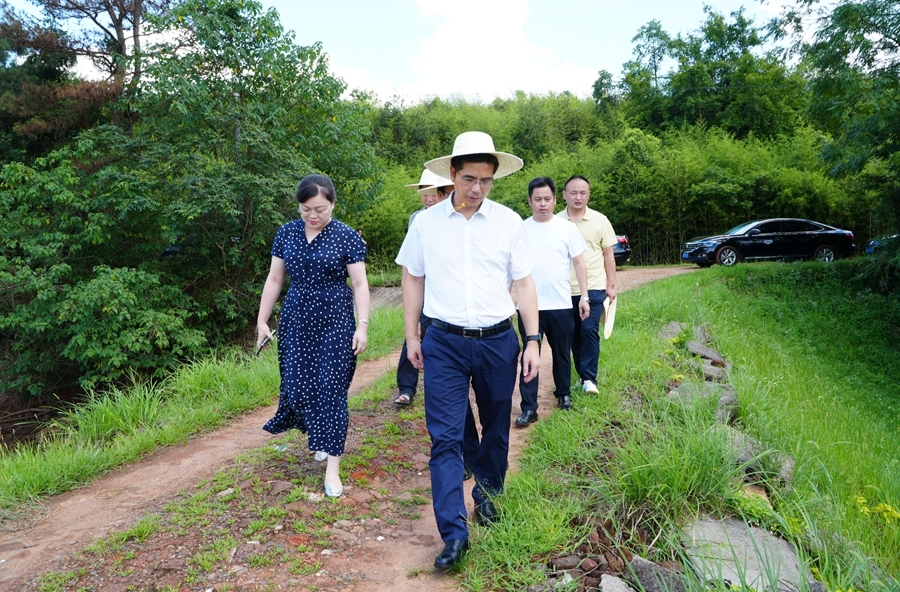 武挪强督导水库防汛备汛工作要求：排查风险 细化举措 全面压实防汛备汛工作责任