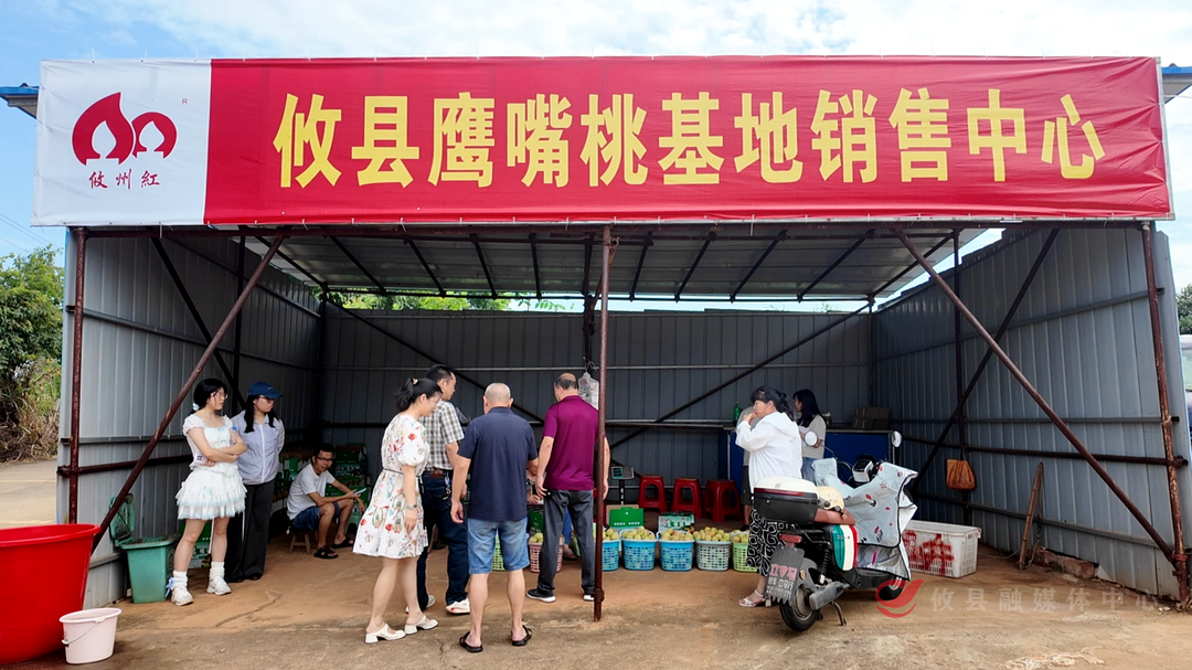 脆甜出圈！菜花坪镇鹰嘴桃解锁夏日丰收味