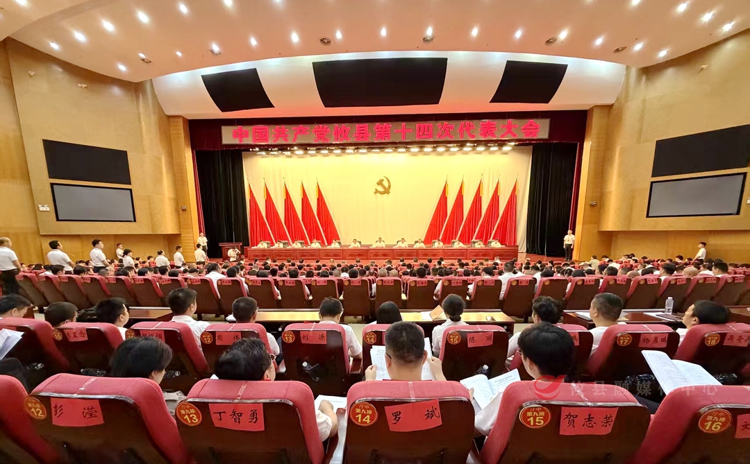 聚焦党代会丨攸县第十四次党代会召开预备会议
