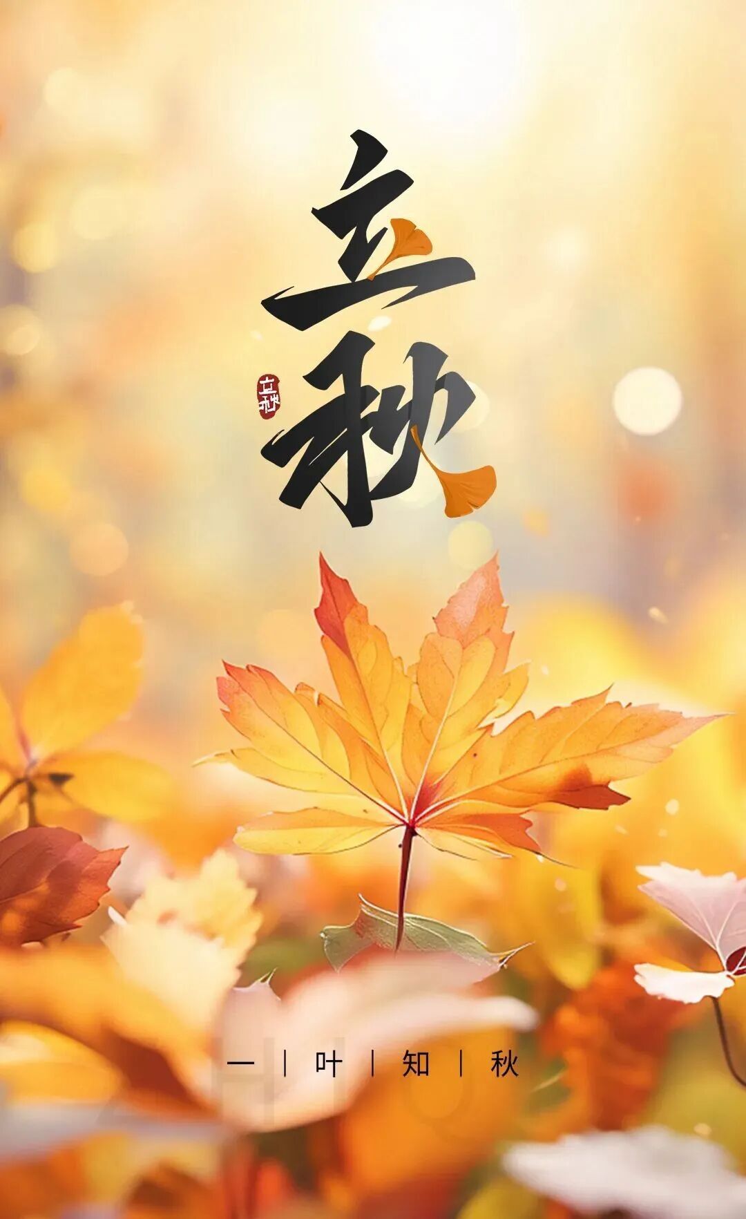 今日，立秋