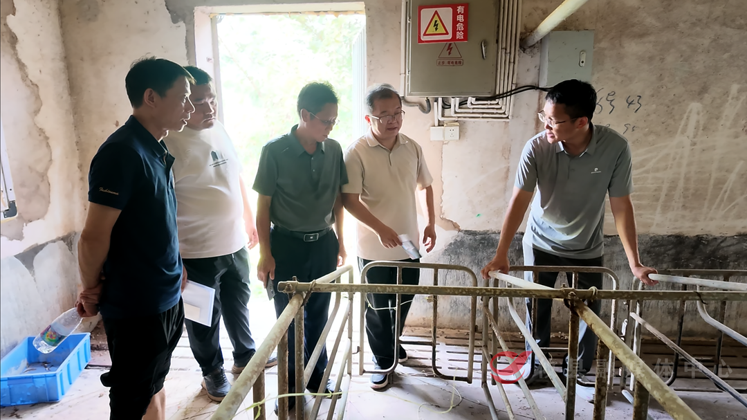 湖南省畜牧兽医研究所专家来攸指导攸县麻鸭种质创新工作