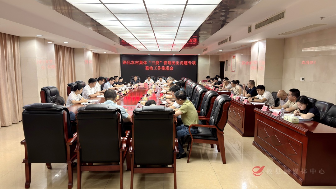 攸县召开深化农村集体 “三资” 管理突出问题专项整治工作推进会