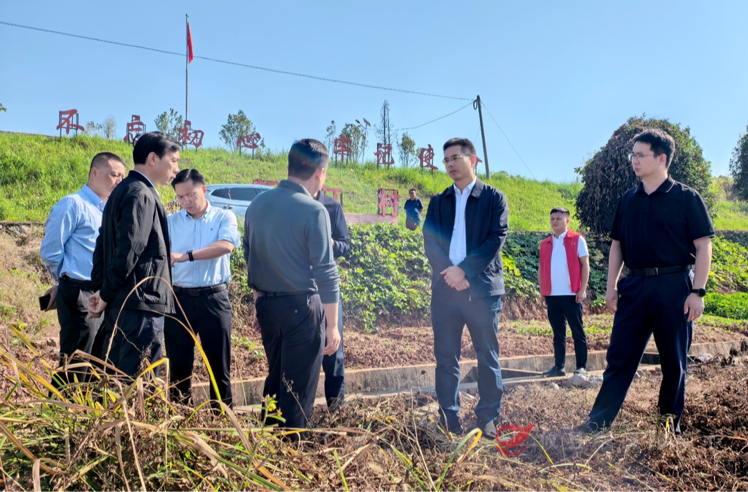 武挪强督导秸秆禁限烧管控和综合利用工作   强调：让秸秆在田间“转起来” 在产业链上“用起来”