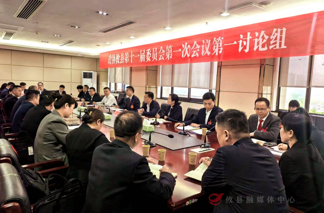 【喜迎两会 幸福攸县】武挪强、刘宪、易晓红等参加政协委员联组讨论  要求：在“四个方面”展现新作为  为“湘东明珠·幸福攸县”贡献政协力量