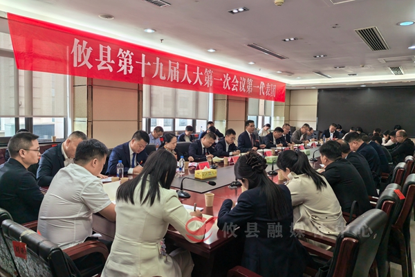 【喜迎两会 幸福攸县】武挪强、刘宪、彭爱斌、易晓红等参加人大分团讨论 要求：凝聚发展共识 真抓实干 奋力推动攸县高质量发展