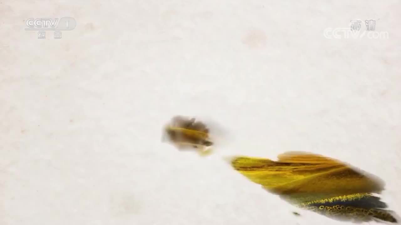 大型纪录片《征程》｜第六集 粮丰安天下