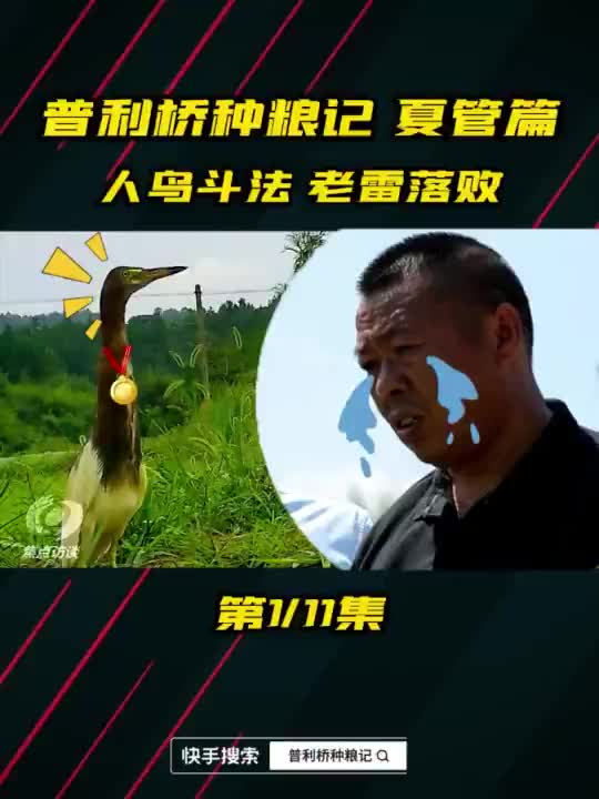 普利桥种粮记第二季丨第一集 ：人鸟斗法 老雷落败