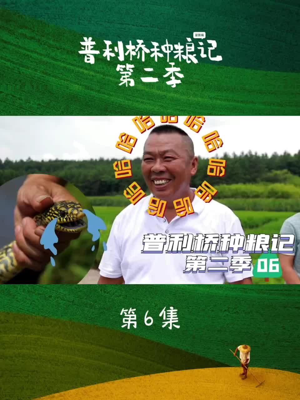 普利桥种粮记第二季丨第六集：稻田筑起“铜墙铁壁”！为什么？
