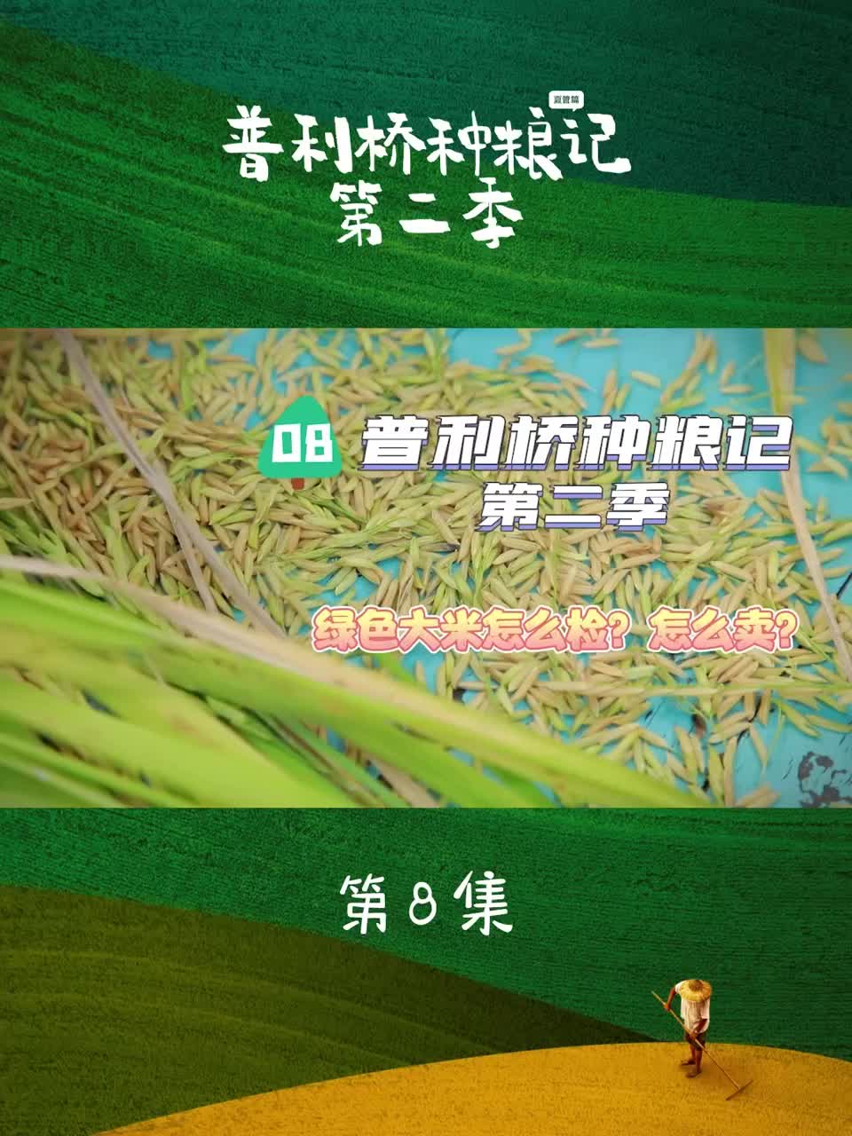 普利桥种粮记第二季丨第八集：绿色大米怎么卖？小唐书记帮忙来出招！