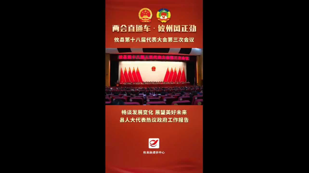视频丨【两会直通车•攸州风正劲】畅谈发展变化 展望美好未来 县人大代表热议政府工作报告