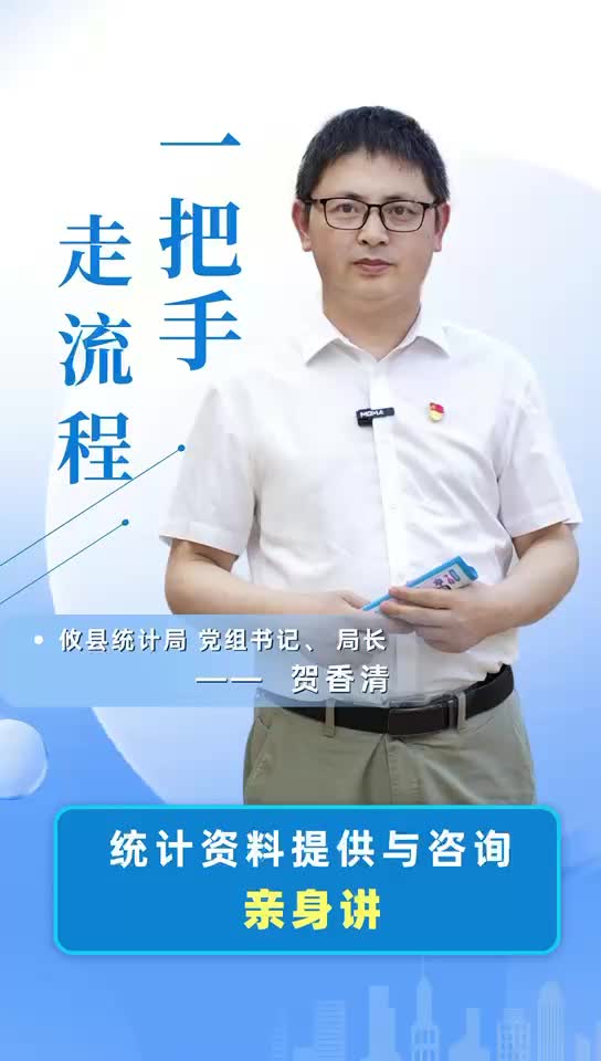 【一把手走流程】攸县统计局统计资料提供与咨询
