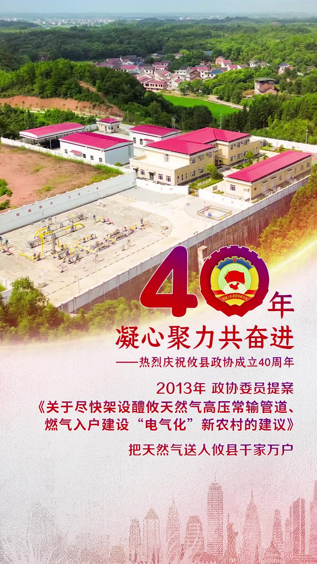 【40年凝心聚力共奋进】2013年，攸县政协委员提案《关于尽快架设醴攸天然气高压常输管道、燃气入户建设“电气化”新农村的建议》