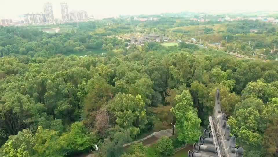2024实训攸州视频大赛三等奖———《我的攸州印象》