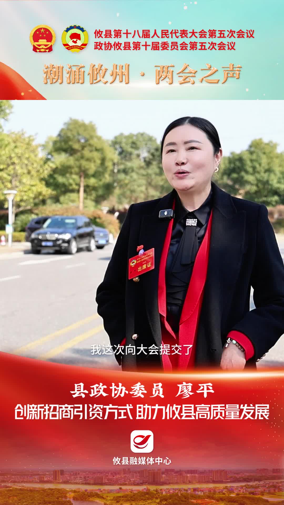 【潮涌攸州·两会之声】县政协委员廖平：创新招商引资方式 助力攸县高质量发展