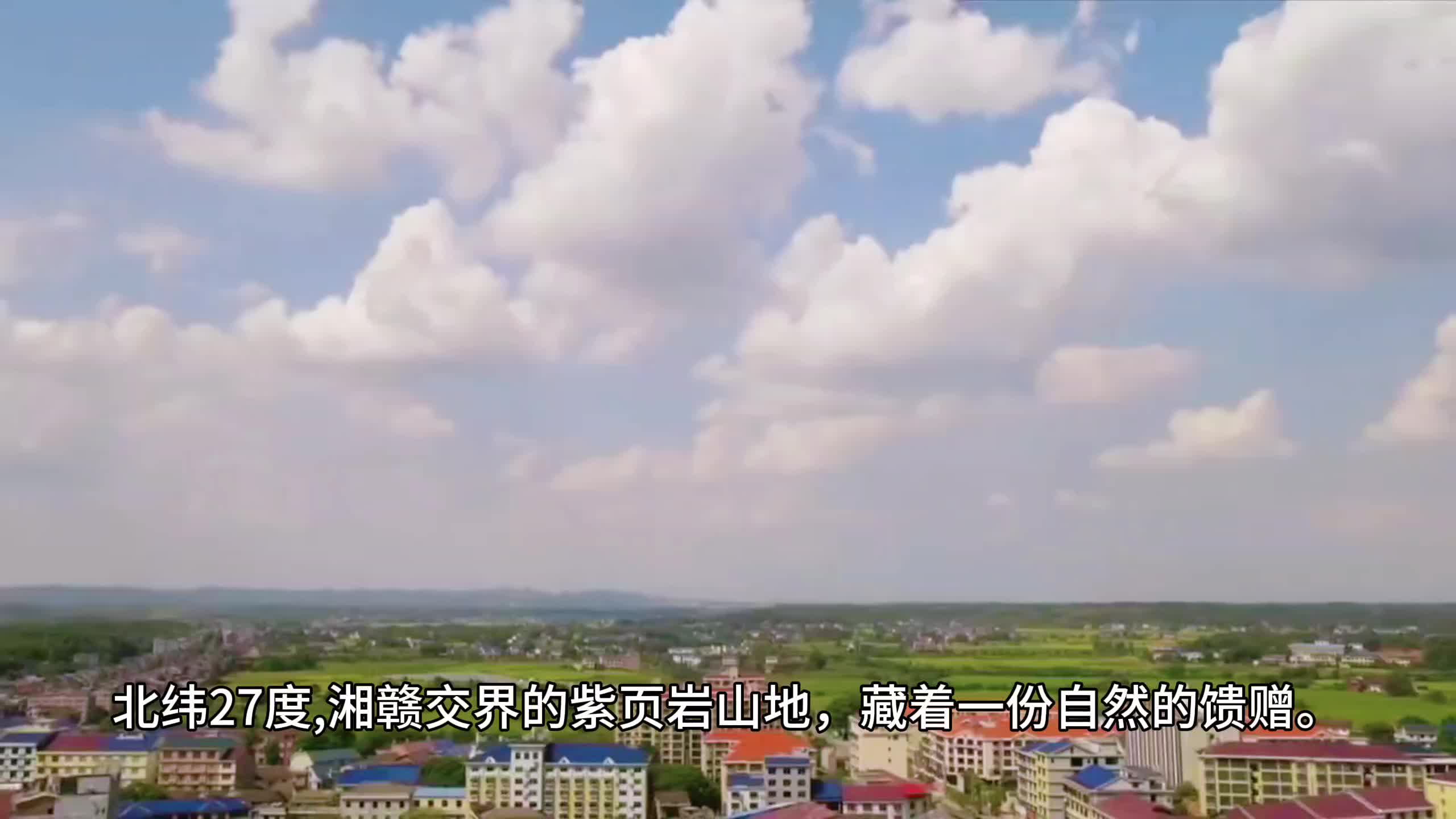 皇椒燃情，烹出乡村红火长卷