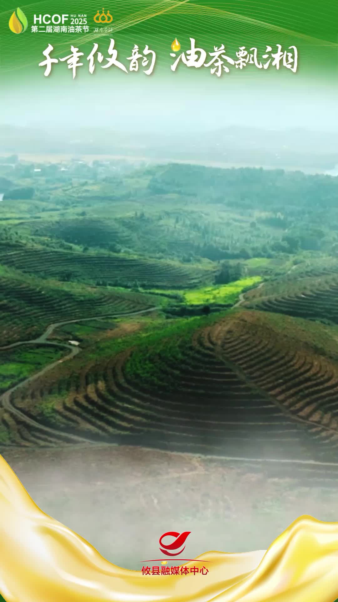 “湘”当油茶 攸县问道：何以“被看好”