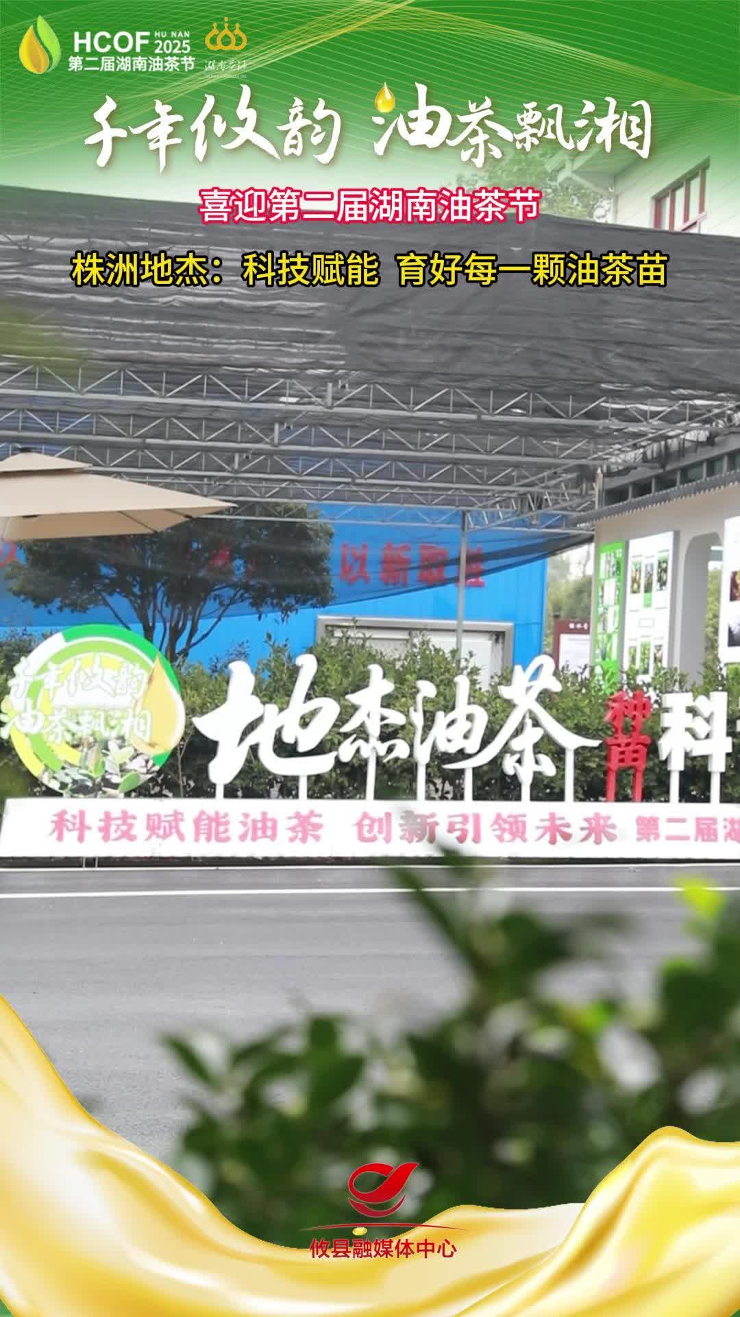 喜迎第二届湖南油茶节 株洲地杰：科技赋能 育好每一颗油茶苗