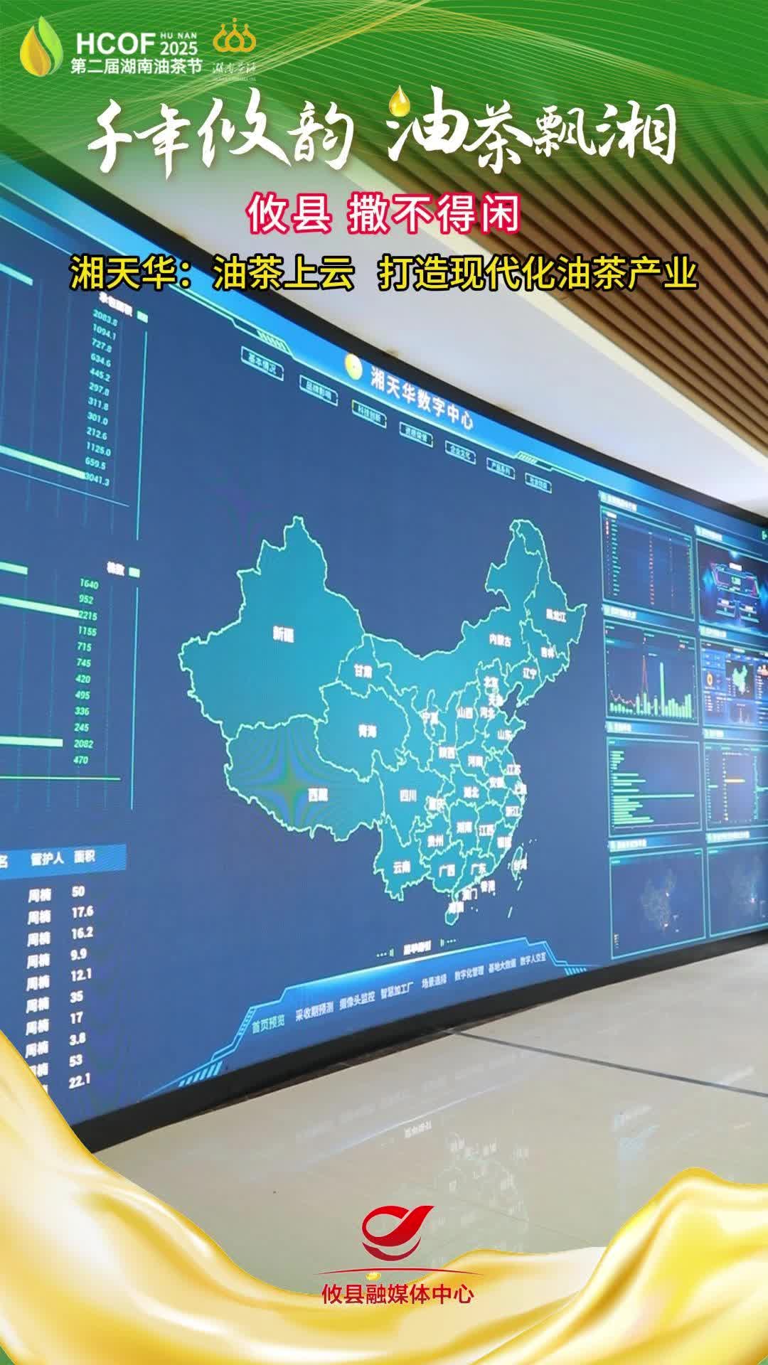 湘天华：油茶上云 打造现代化油茶产业