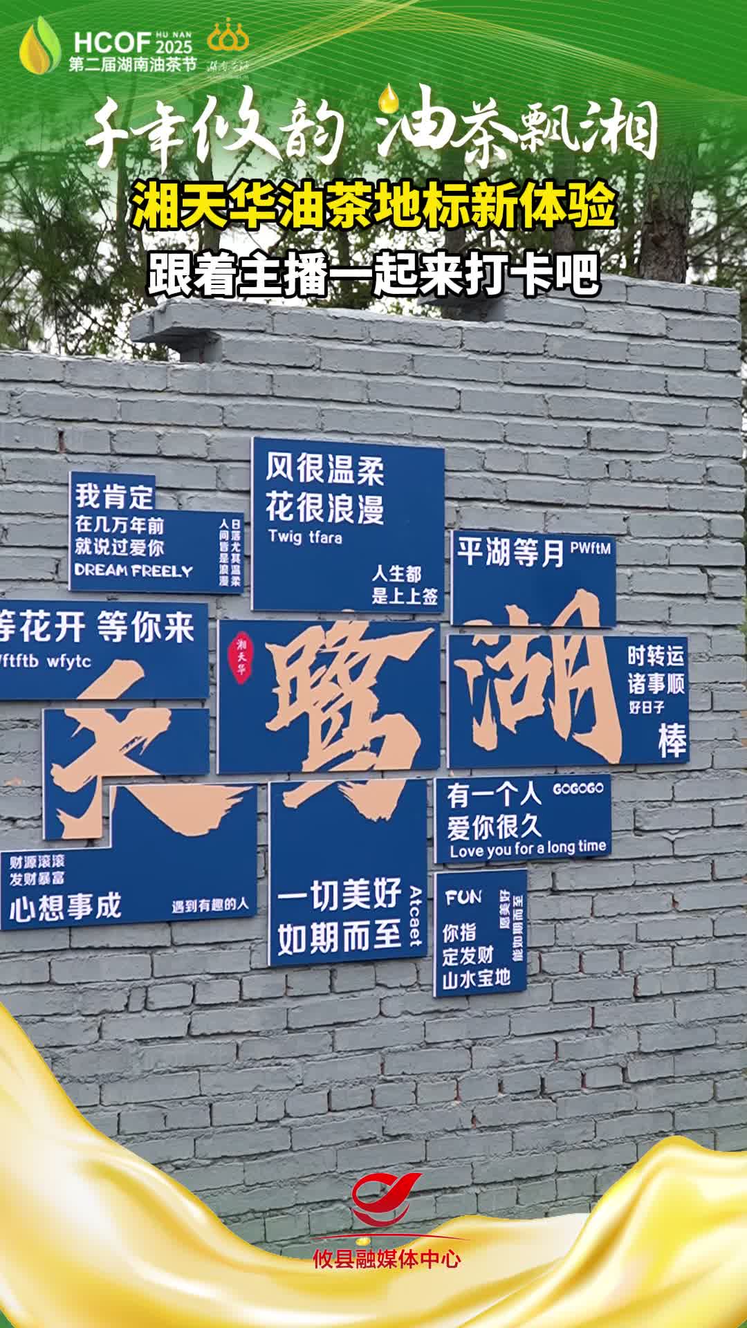 湘天华油茶地标新体验 跟着主播一起来打卡吧！#第二届湖南油茶节  #攸县油茶 #科技赋能油茶创新引领未来