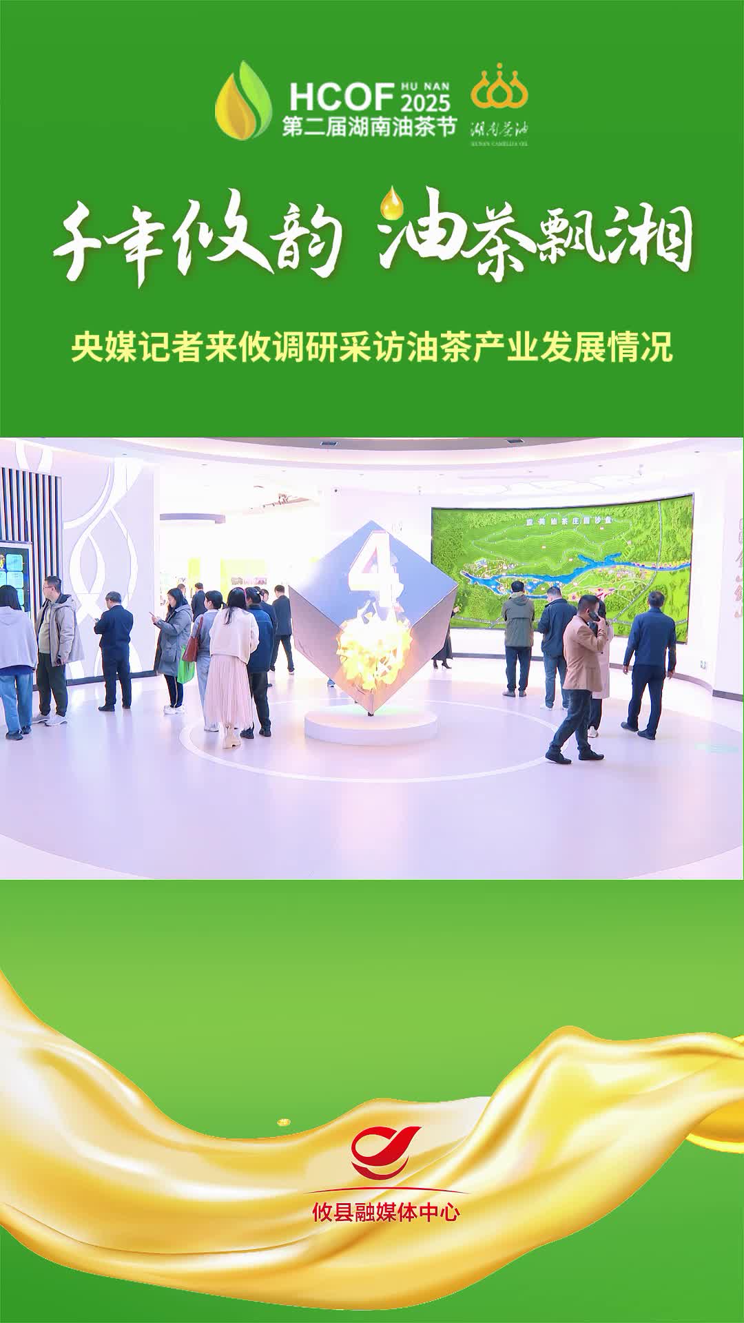 央视记者来攸调研采访油茶产业发展情况#第二届湖南油茶节  #攸县油茶 #科技赋能油茶创新引领未来