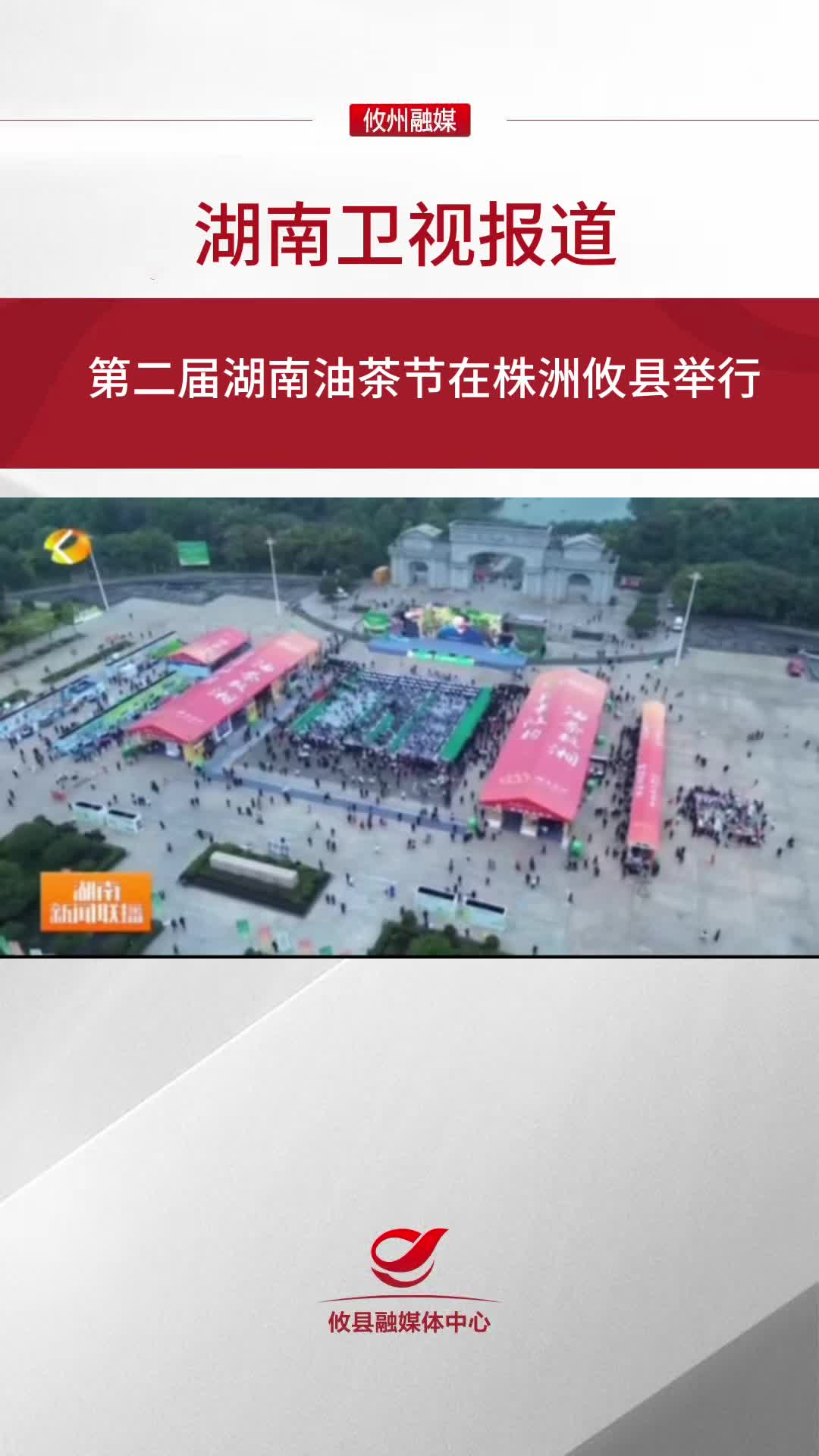 湖南卫视报道：第二届湖南油茶节在株洲攸县举行#第二届湖南油茶节  #攸县油茶 #科技赋能油茶创新引领未来