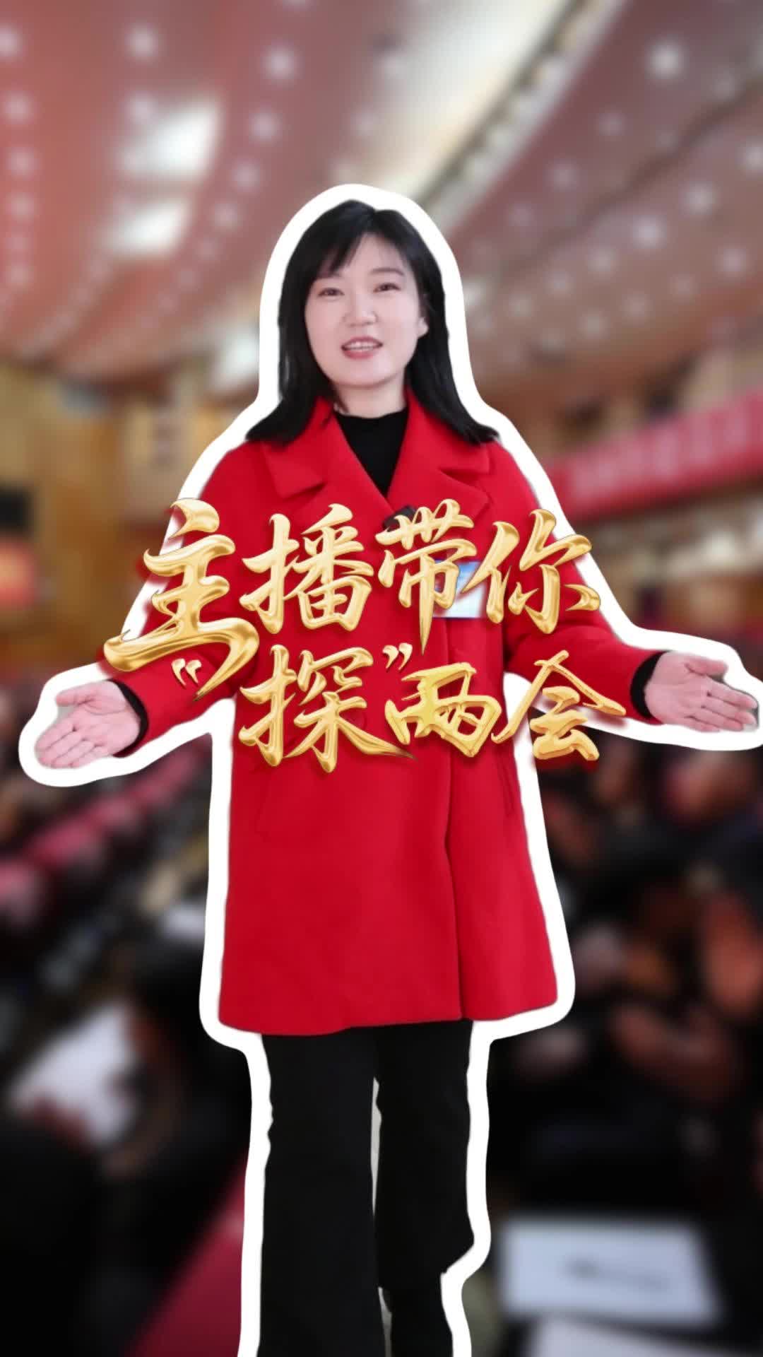 【2026攸县两会】主播带你“探”两会