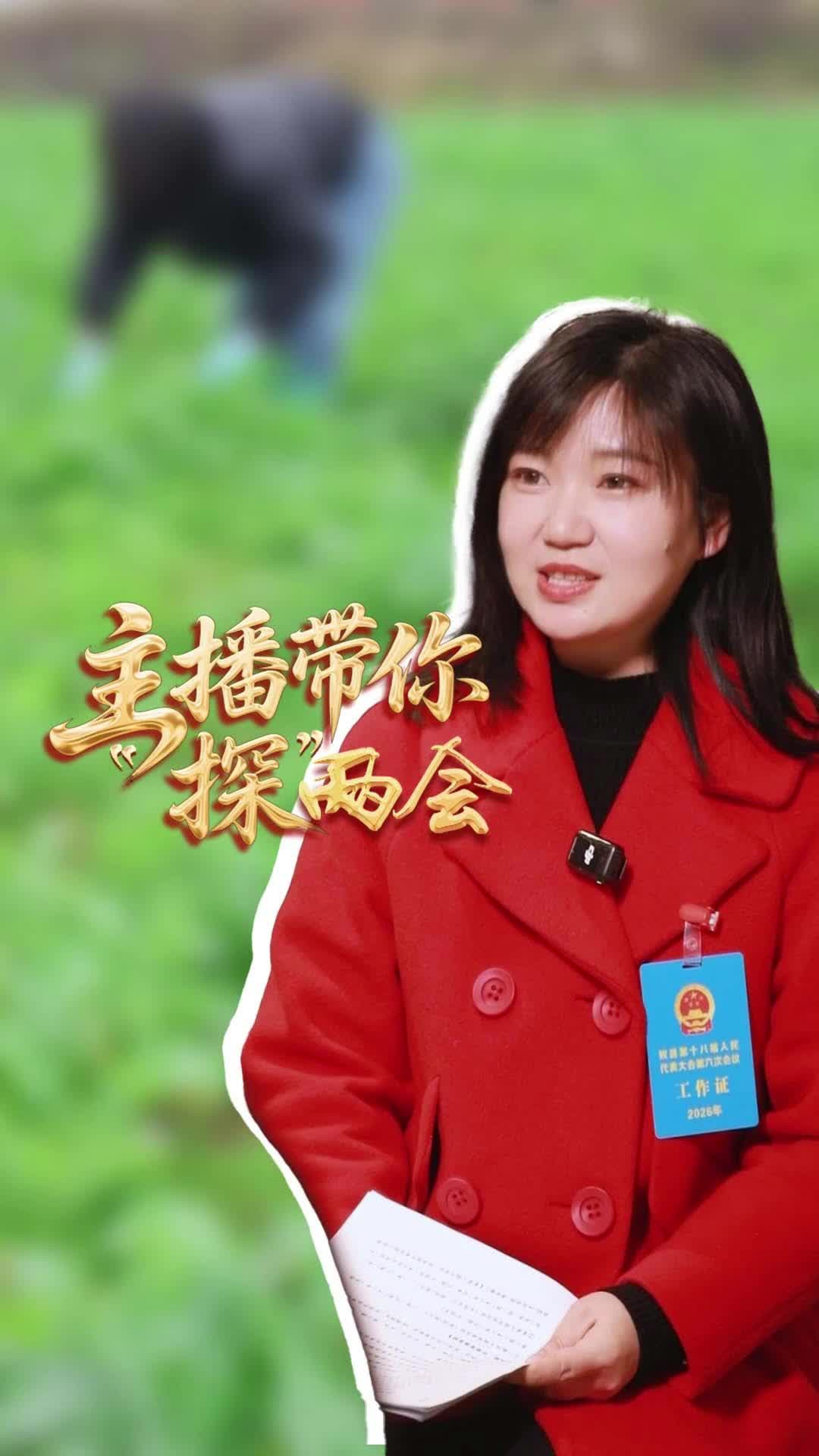 【2026攸县两会】主播带你“探”两会