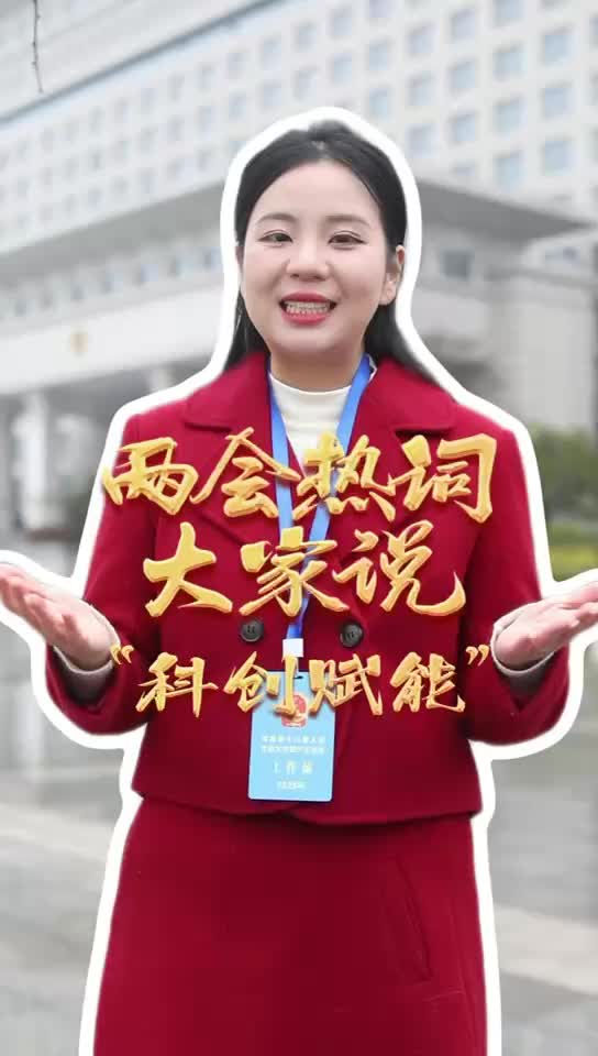 【2026攸县两会】两会热词大家说“科创赋能”