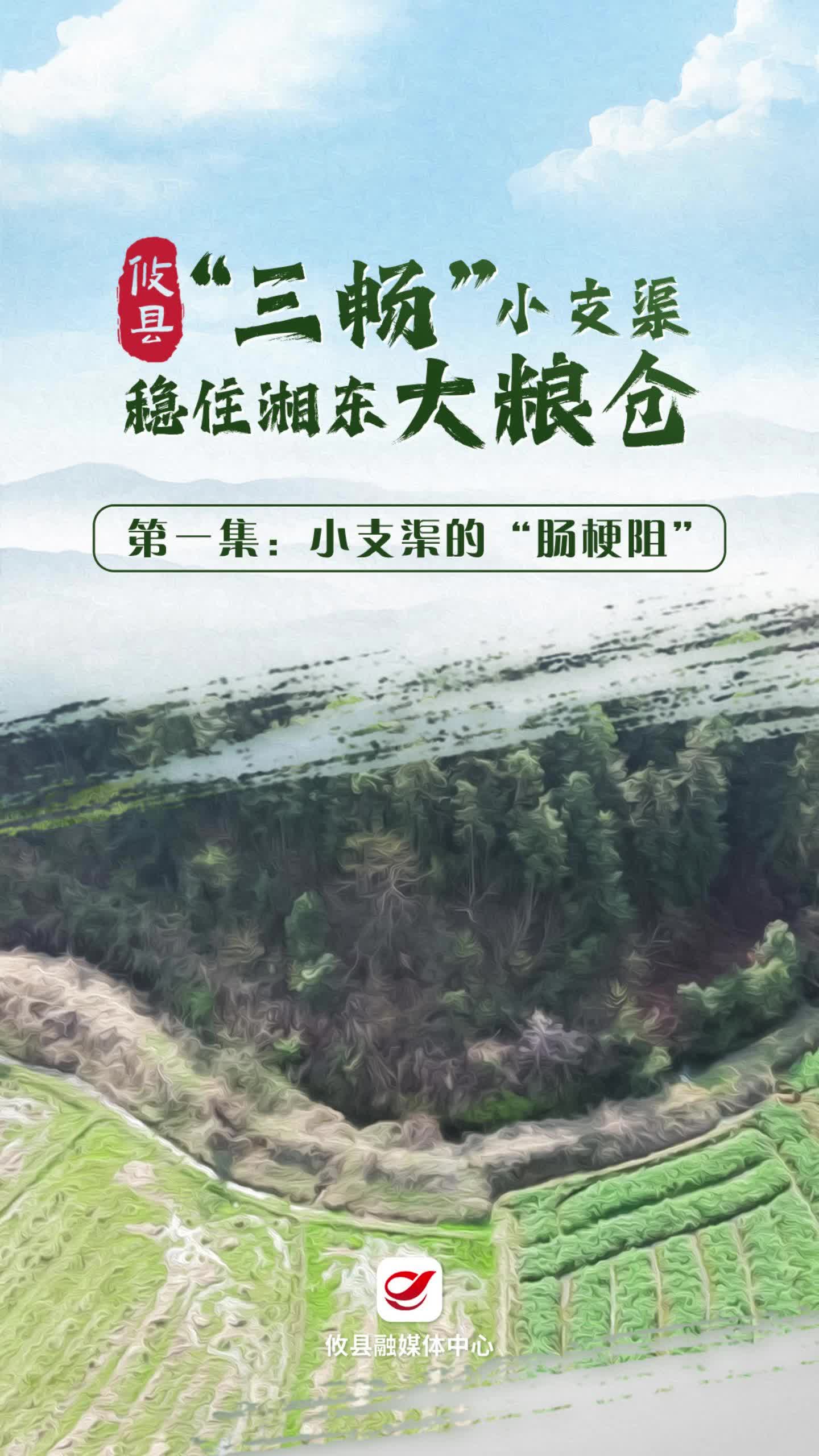 视频|“三畅”小支渠稳住湘东大粮仓——第一集：小支渠的“肠梗阻”