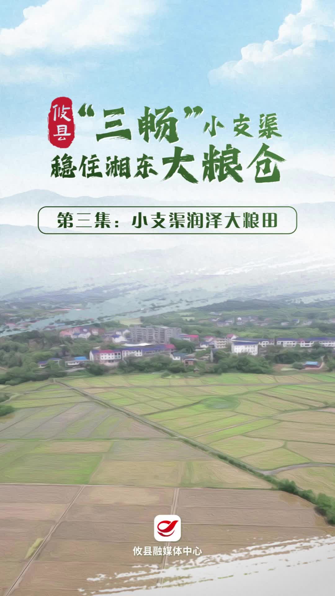 视频|“三畅”小支渠稳住湘东大粮仓——第三集：小支渠润泽大粮田