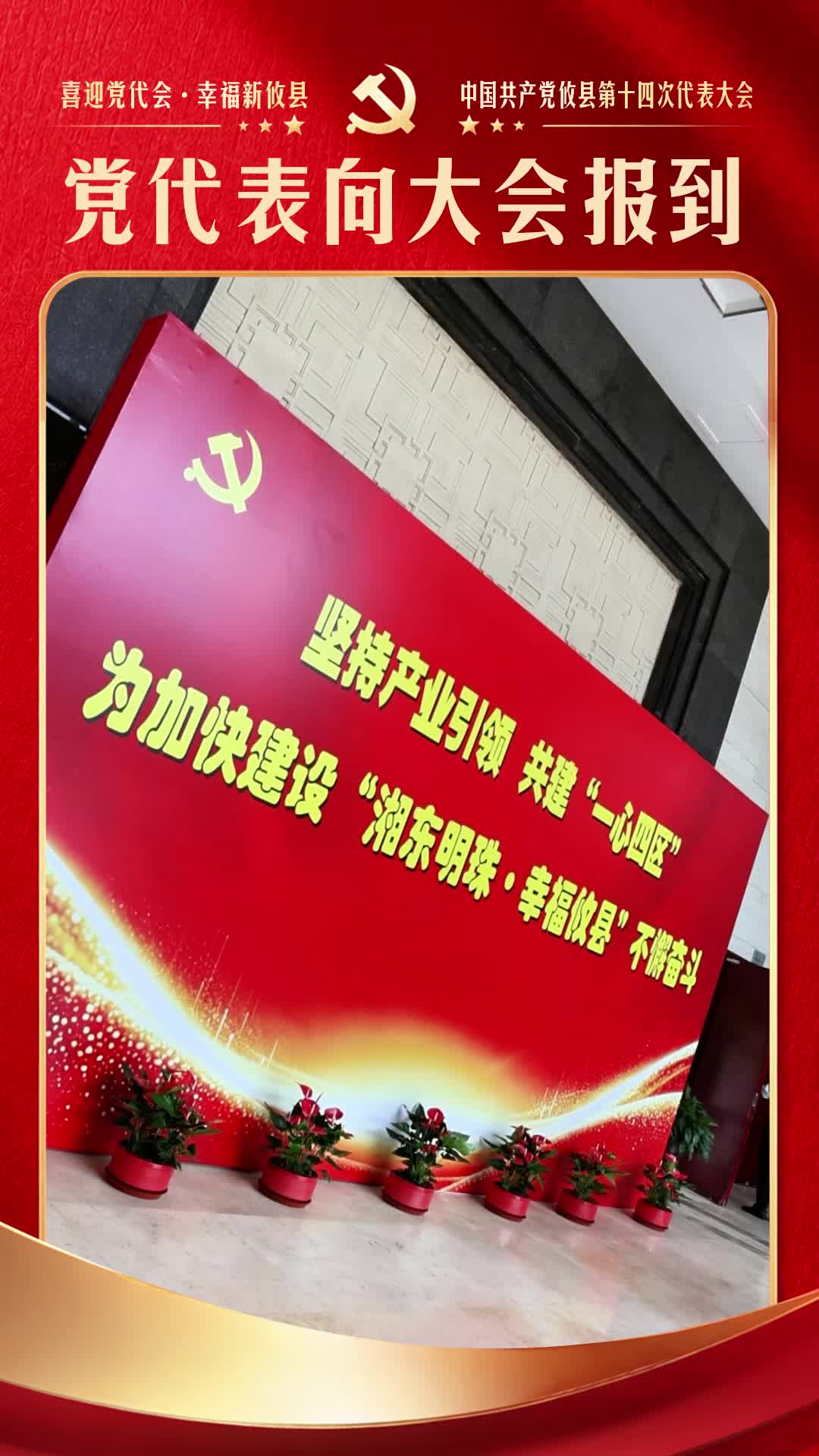 党代表向大会报到！怀揣民心嘱托，共赴发展盛会