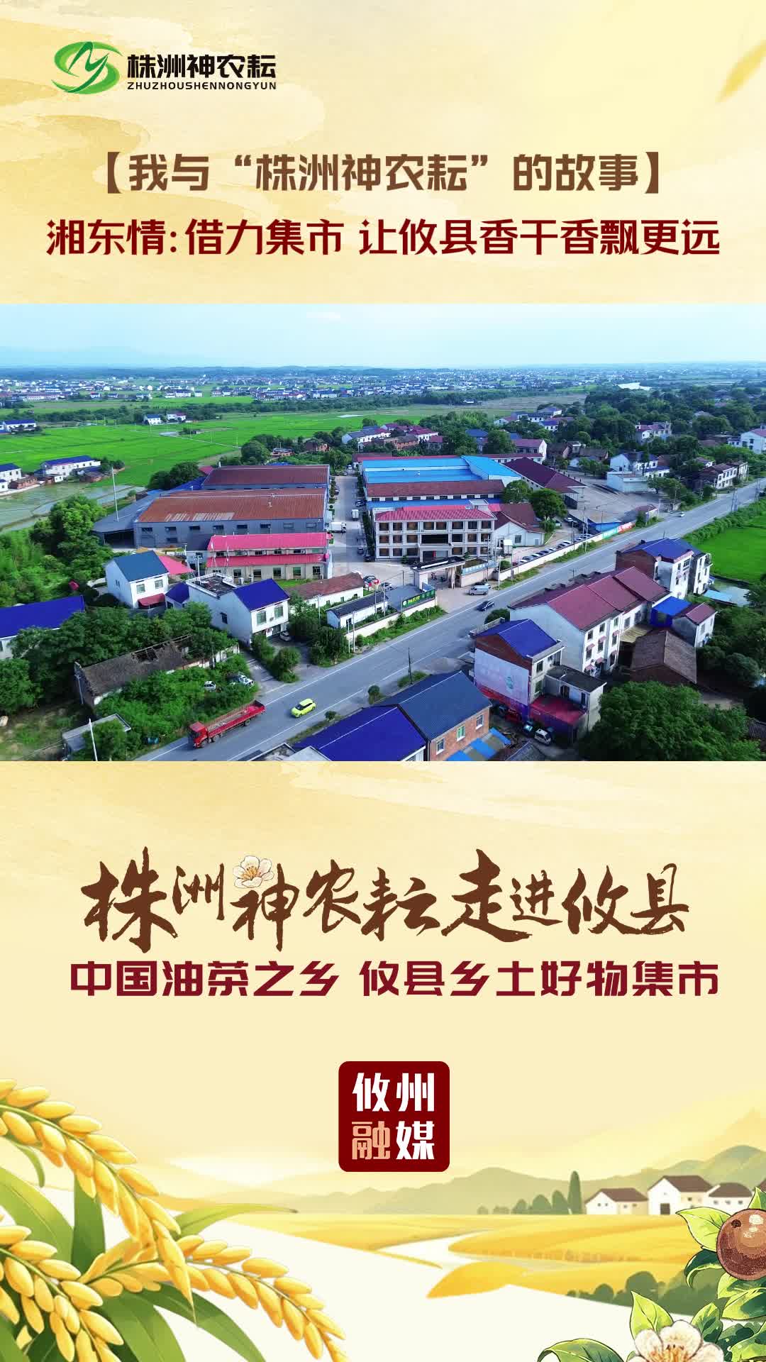 我与“株洲神农耘”的故事｜湘东情：借力集市 让攸县香干香飘更远