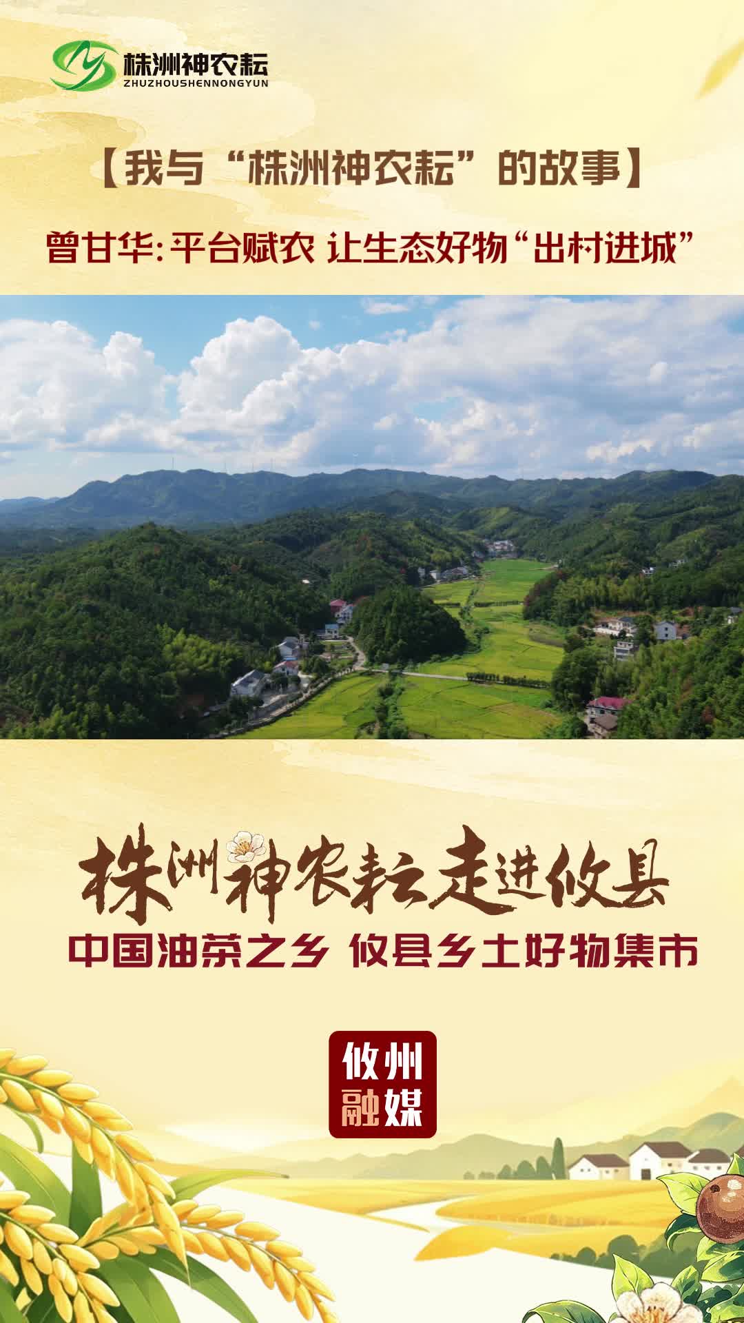 我与“株洲神农耘”的故事｜曾甘华：平台赋农 让生态好物“出村进城”