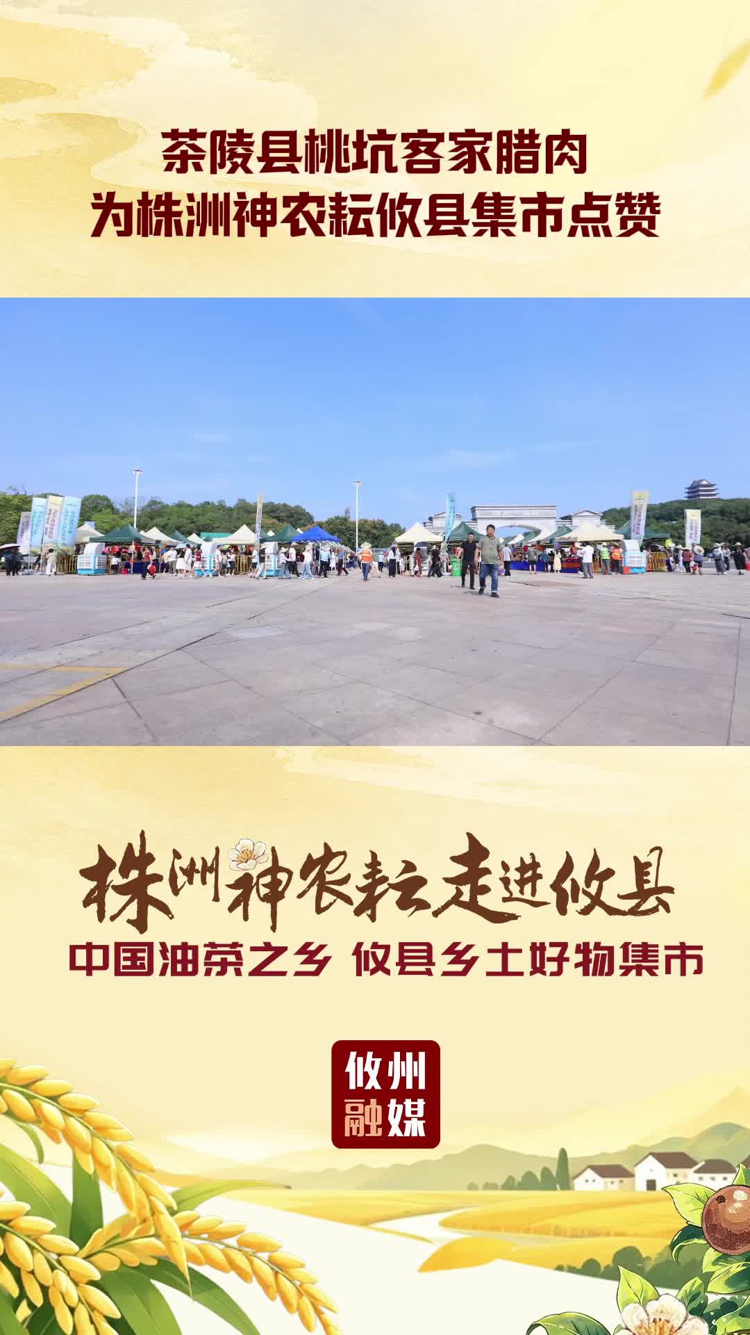 茶陵县桃坑客家腊肉 为株洲神农耘攸县集市点赞