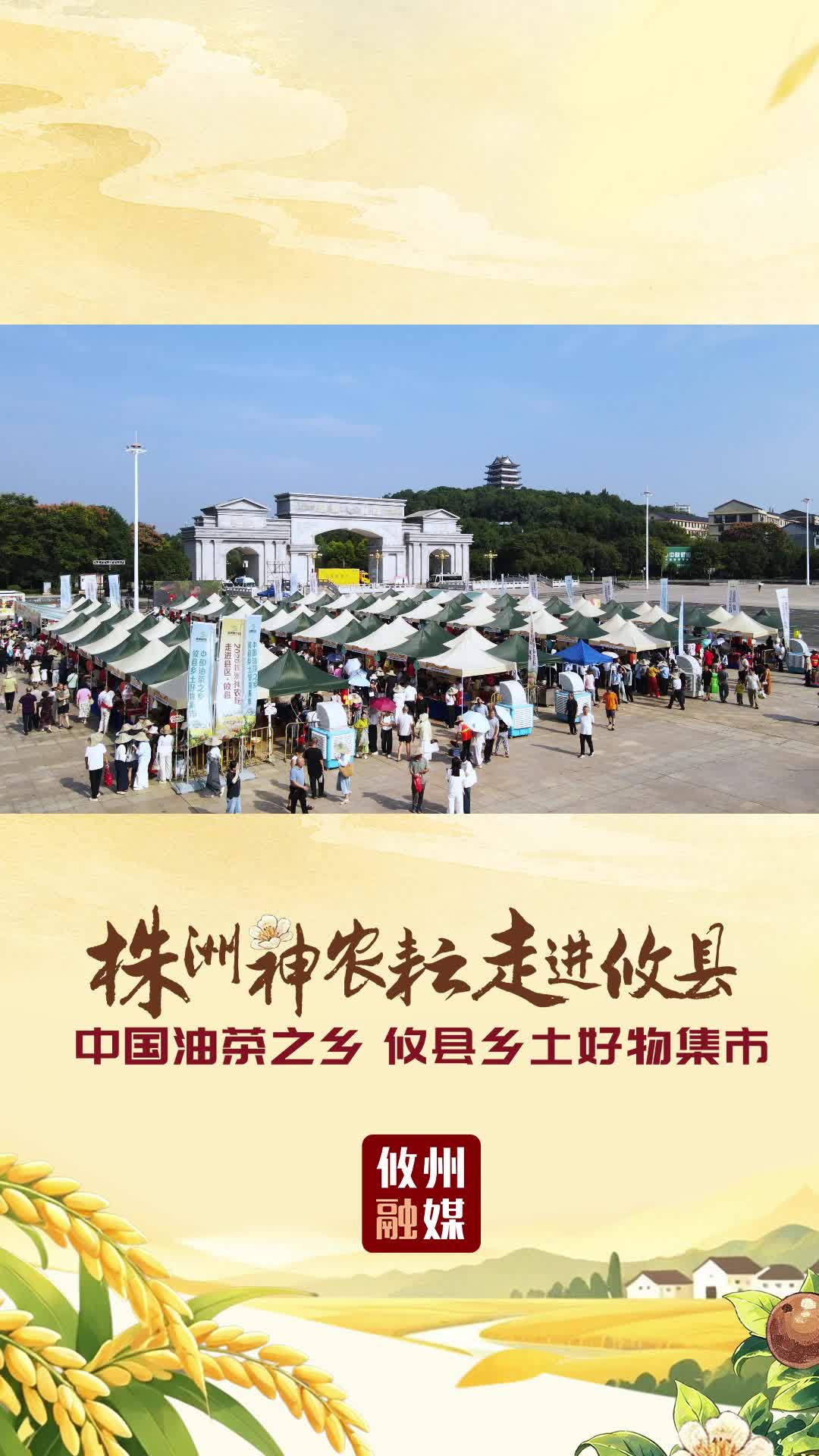 秋日赴约 满载而归！集市今日圆满收官