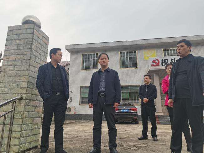 冯杰到莲塘坳镇开展代表建议调研视察活动