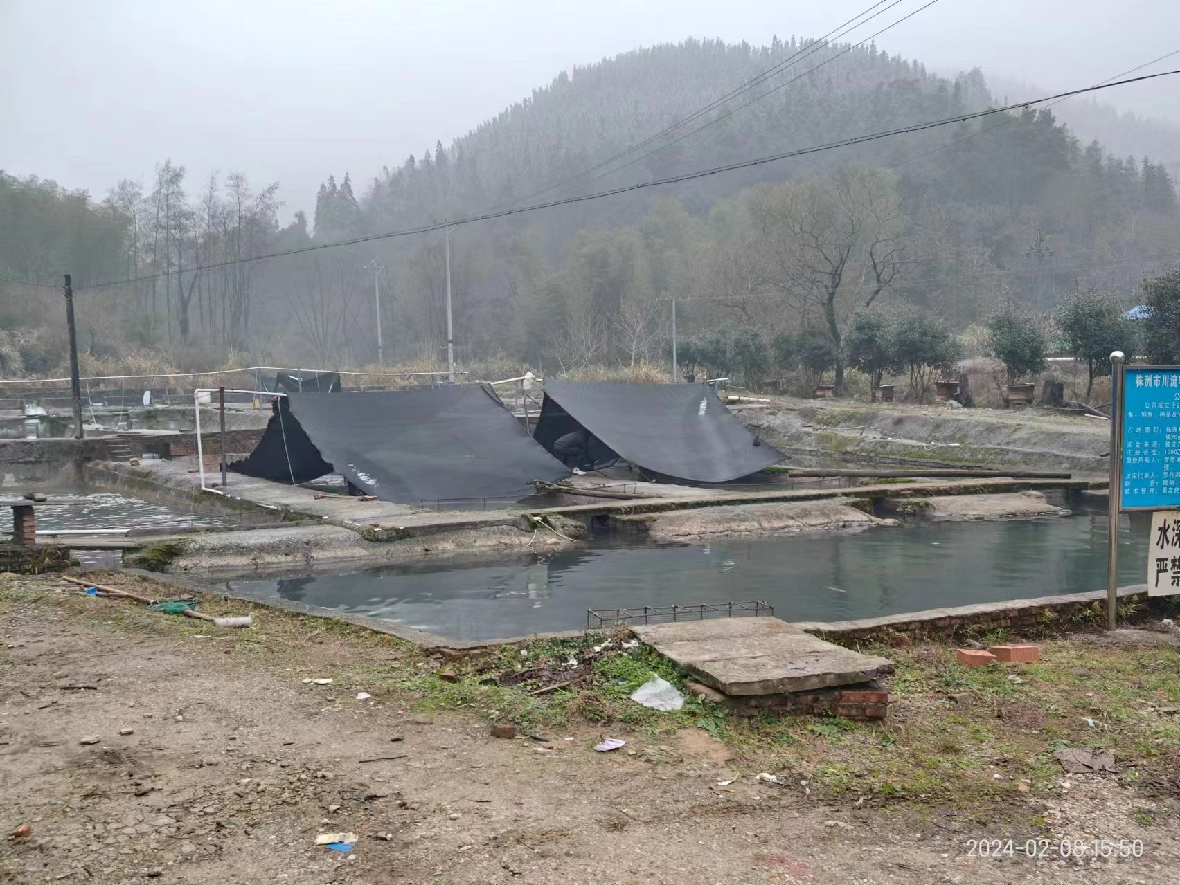 黄丰桥镇：发展特色养殖业，助力农民增收