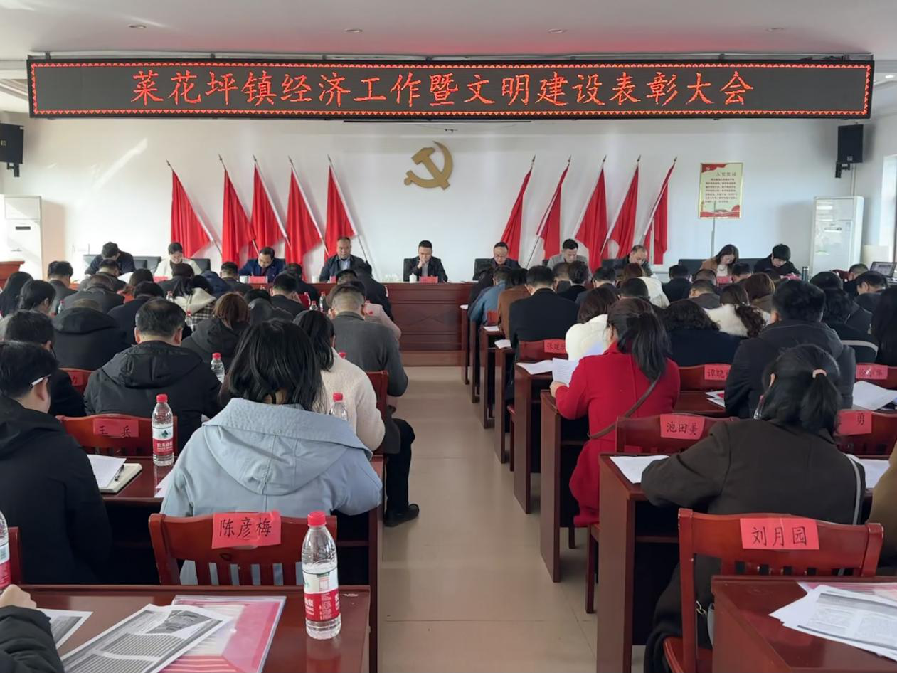 菜花坪镇召开经济工作会议暨文明建设表彰大会