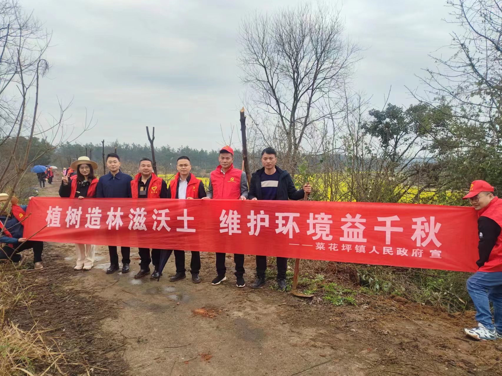 菜花坪镇：植树造林滋沃土 维护环境益千秋