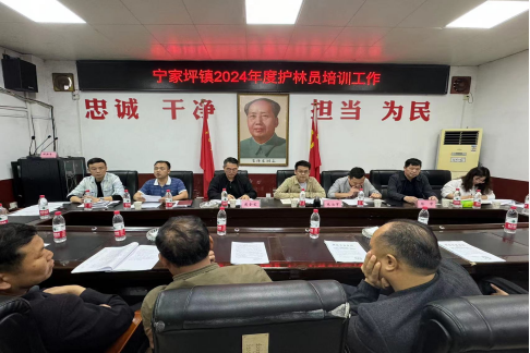 宁家坪镇：全面推行“131”机制 探索森林火灾防灭新模式