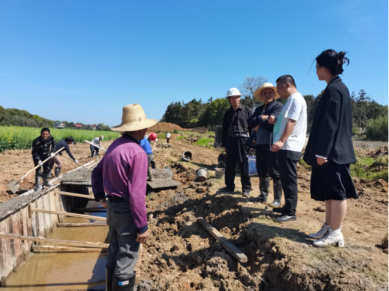 联星街道泰青塘村：铺开高标准农田建设新画卷