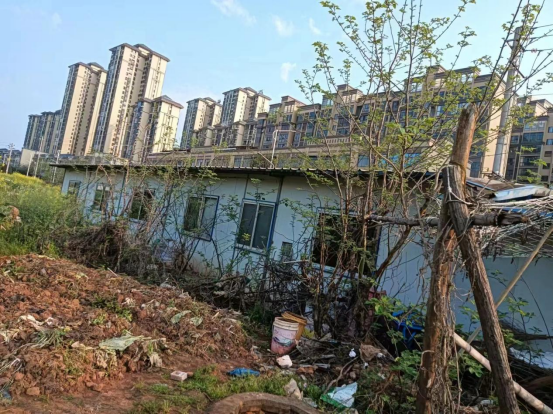 联星街道：全力推进储备土地清理难题圆满解决